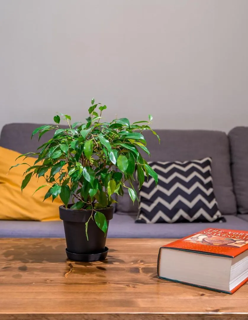 Irina'S Cozy Apartment In Old Тбилиси 0*,